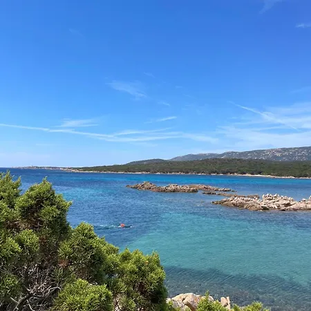 2 Pieces Vue A Pied 르 라방두