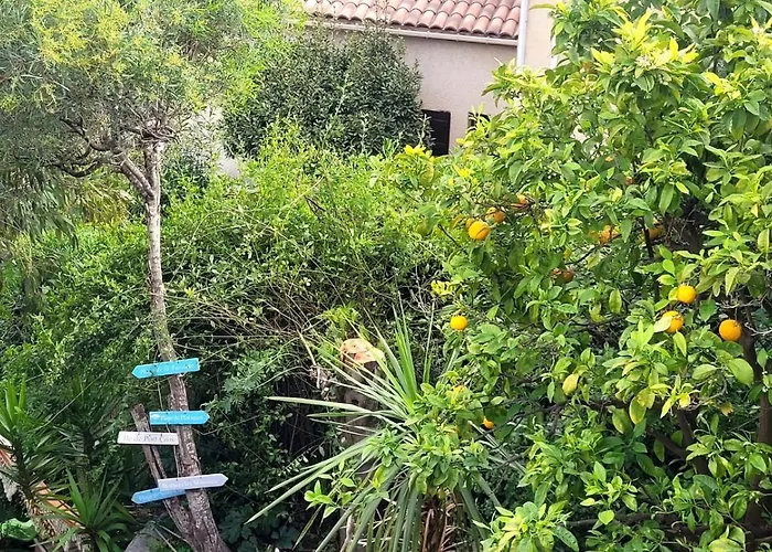 2 Pieces Vue A Pied 别墅 *